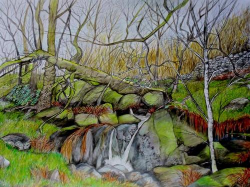 David Grimbleby - Mossy Rocks Bowland