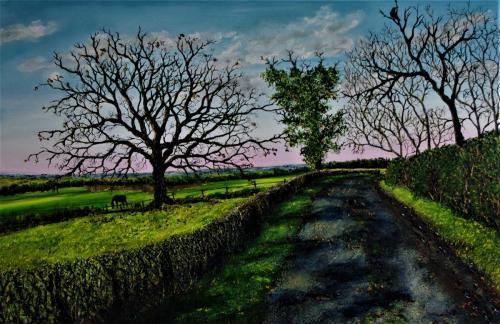 Hazel Thomson - End of winter