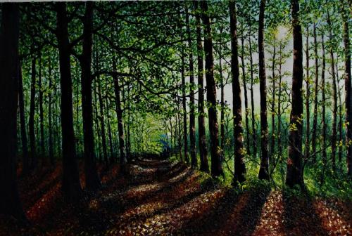 Hazel Thomson - illuminated forest light