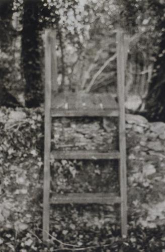 Lauren Seatter-Messer - The Ladder at Stockman Cottage