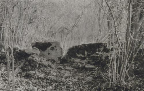 Lauren Seatter-Messer - the Gap in the Wall at Perrott Brook