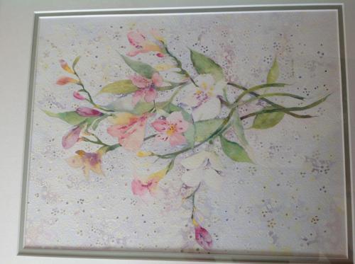 Suzanne Wilcox - Fressias