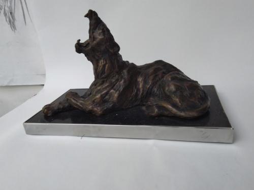 Tony Evans - lioness